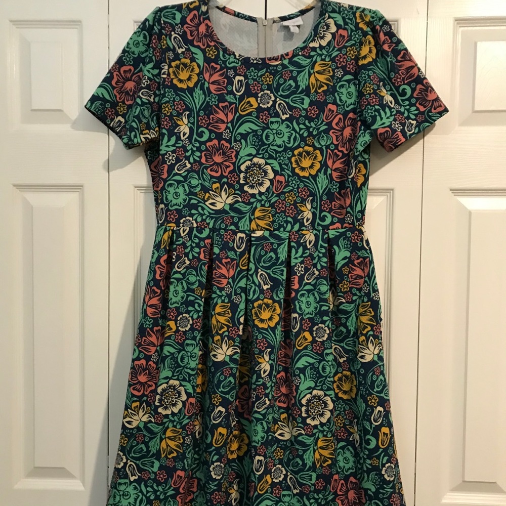 XL Stretchy LuLaroe Amelia Dress with Pockets